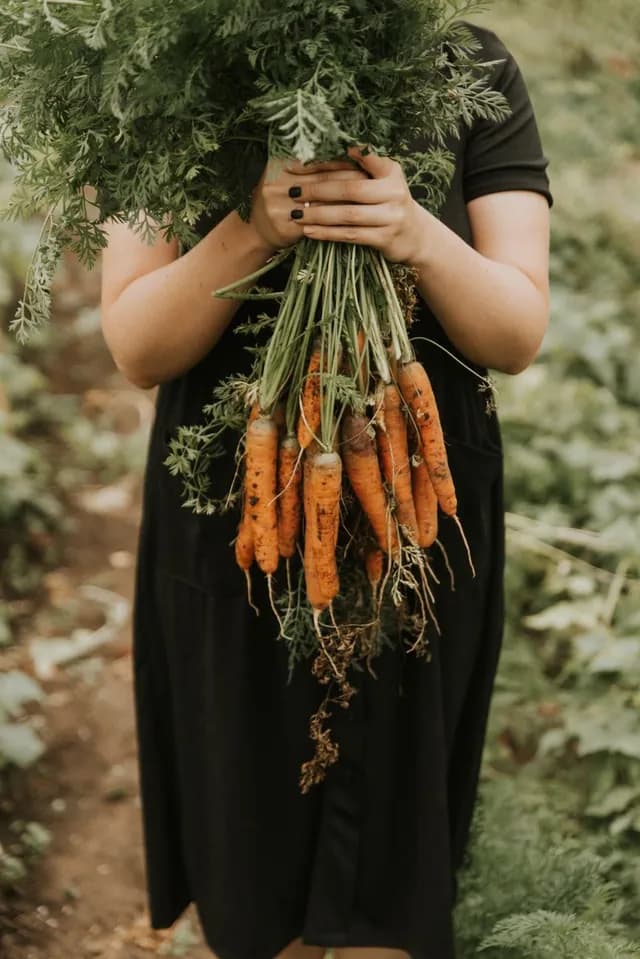 A member holding freshly harvested vegetables